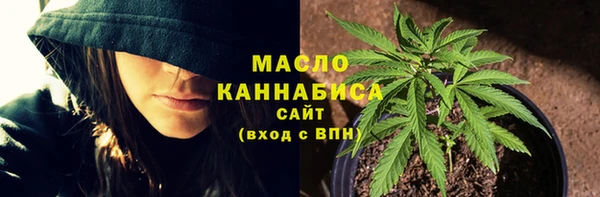 крисы Козловка