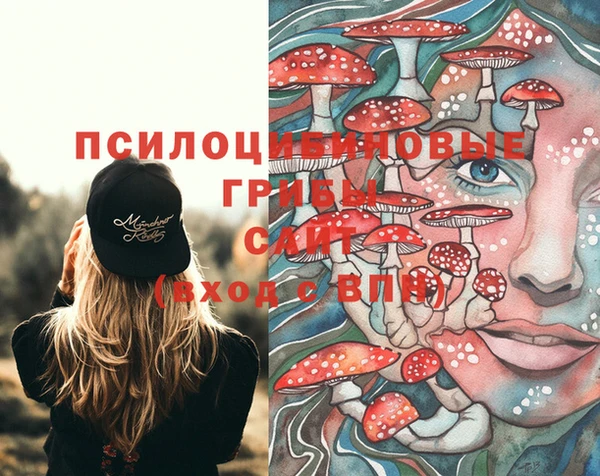 соль ск Козельск