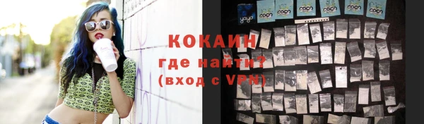 соль ск Козельск