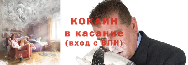 соль ск Козельск