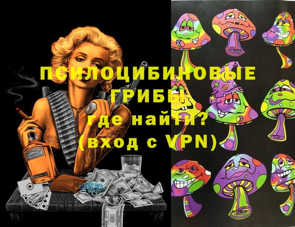 крисы Козловка