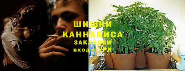 крисы Козловка